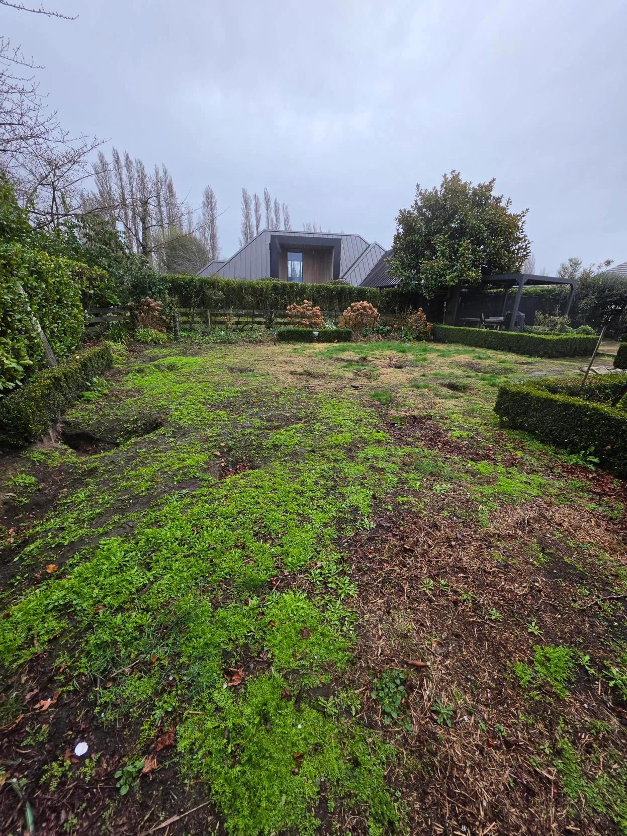 Uneven backyard lawn with patchy grass and bare soil before levelling and preparation, Canterbury